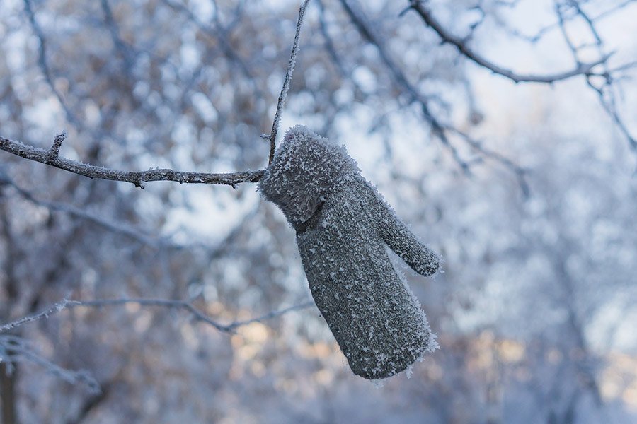 Mitten in frost