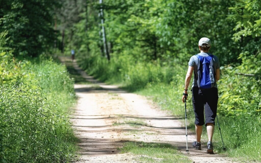 Hiker with pole