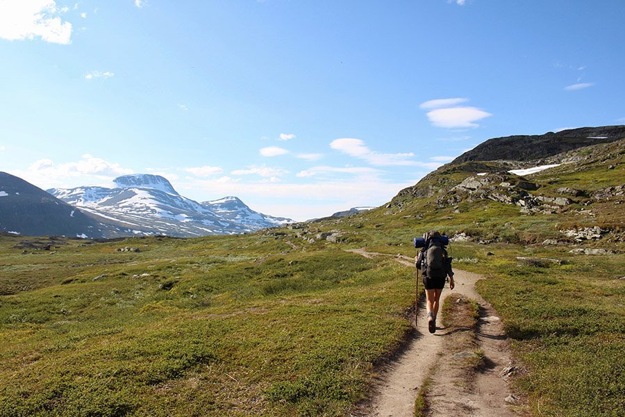 Hikers in the mountqins