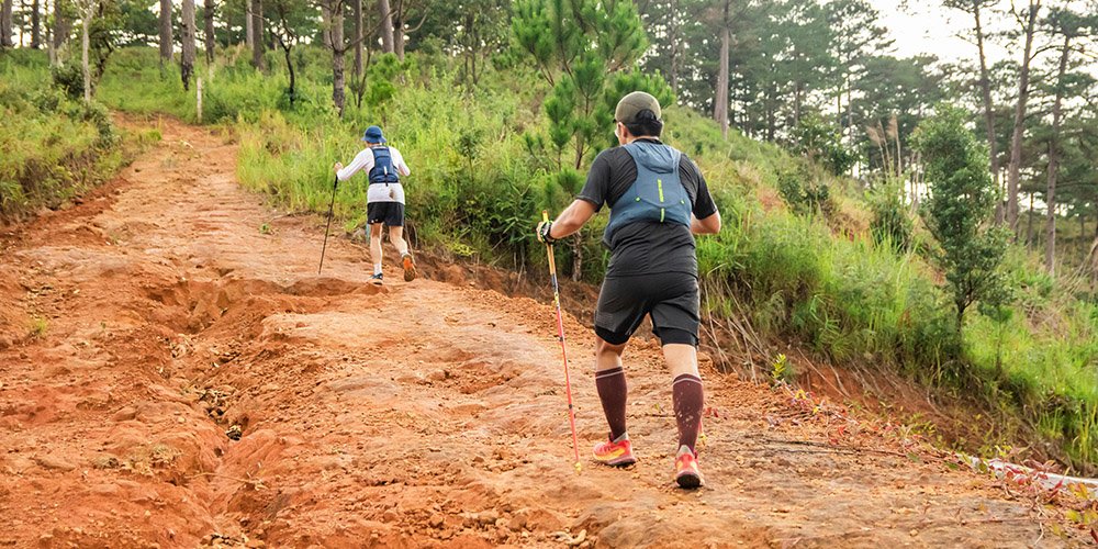 Hikers with trekking poles