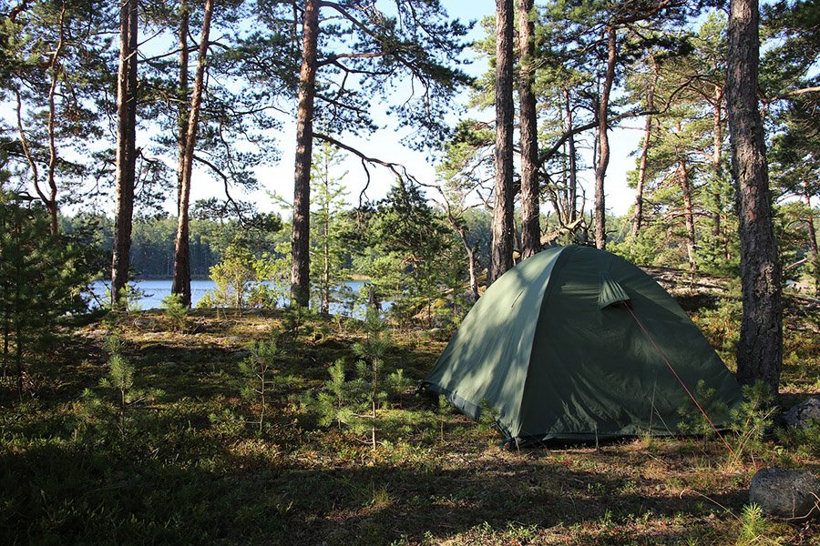 Camping in forest