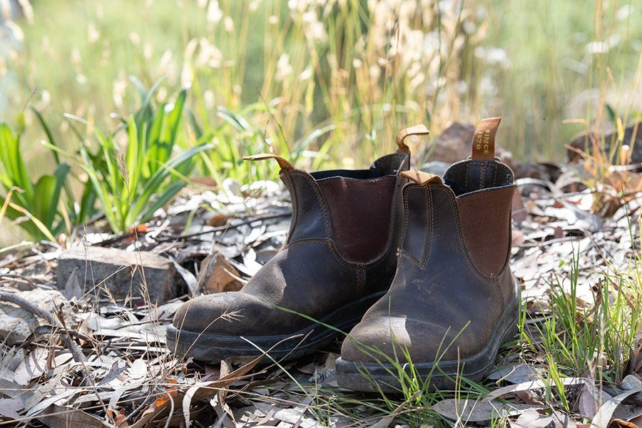 Blundstone boots