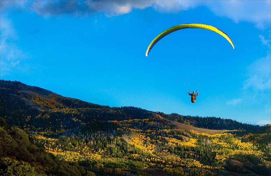 Paragliding above the forest